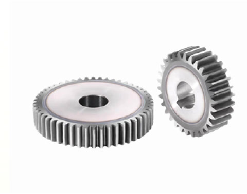 Spur Gear