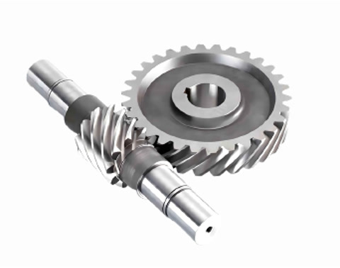 Worm Gear